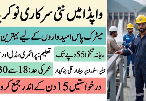 WAPDA Jobs 2026 Requirements & Application Process